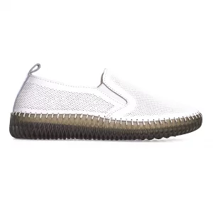   KD SL 529 1 