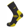 Fanatics 0421