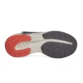 BAAS L1770