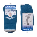 ALPINE 0923