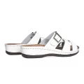  Sanipur 060003 001 