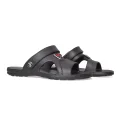 Jose Amorales 124800
