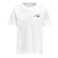 ALE M-05