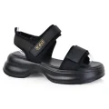 KD SL H002