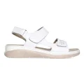 KD SL H010