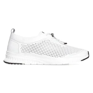 ���� ����� ̳�� 230867 (244) ������ ����